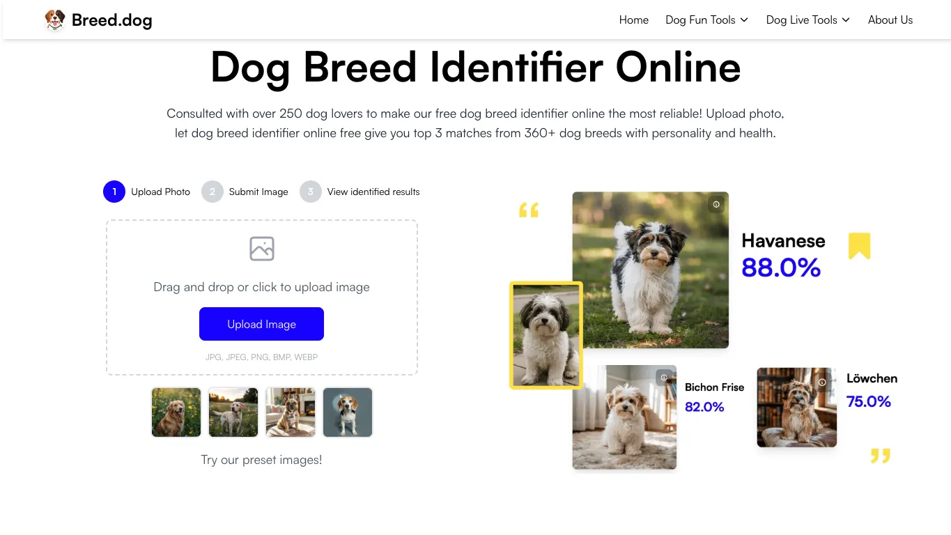 Breed.Dog official homepage screenshot