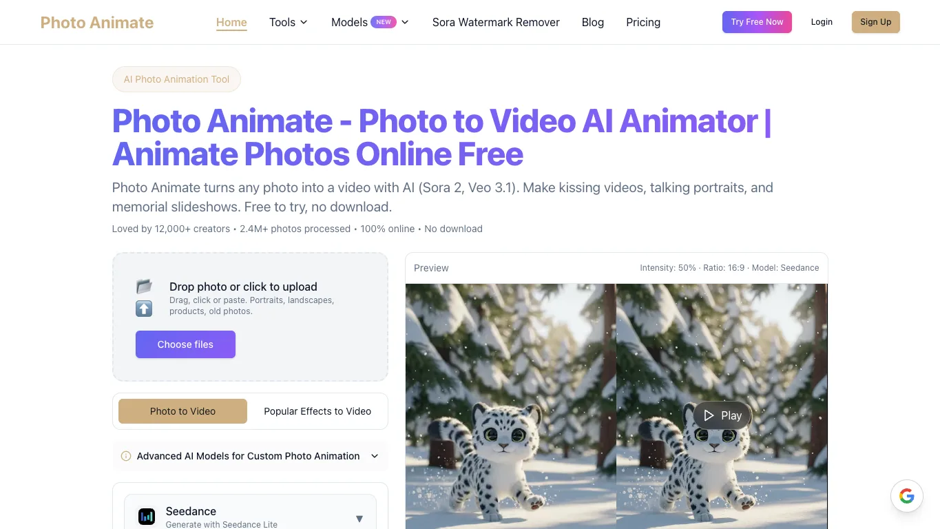 Photo Animate official homepage screenshot