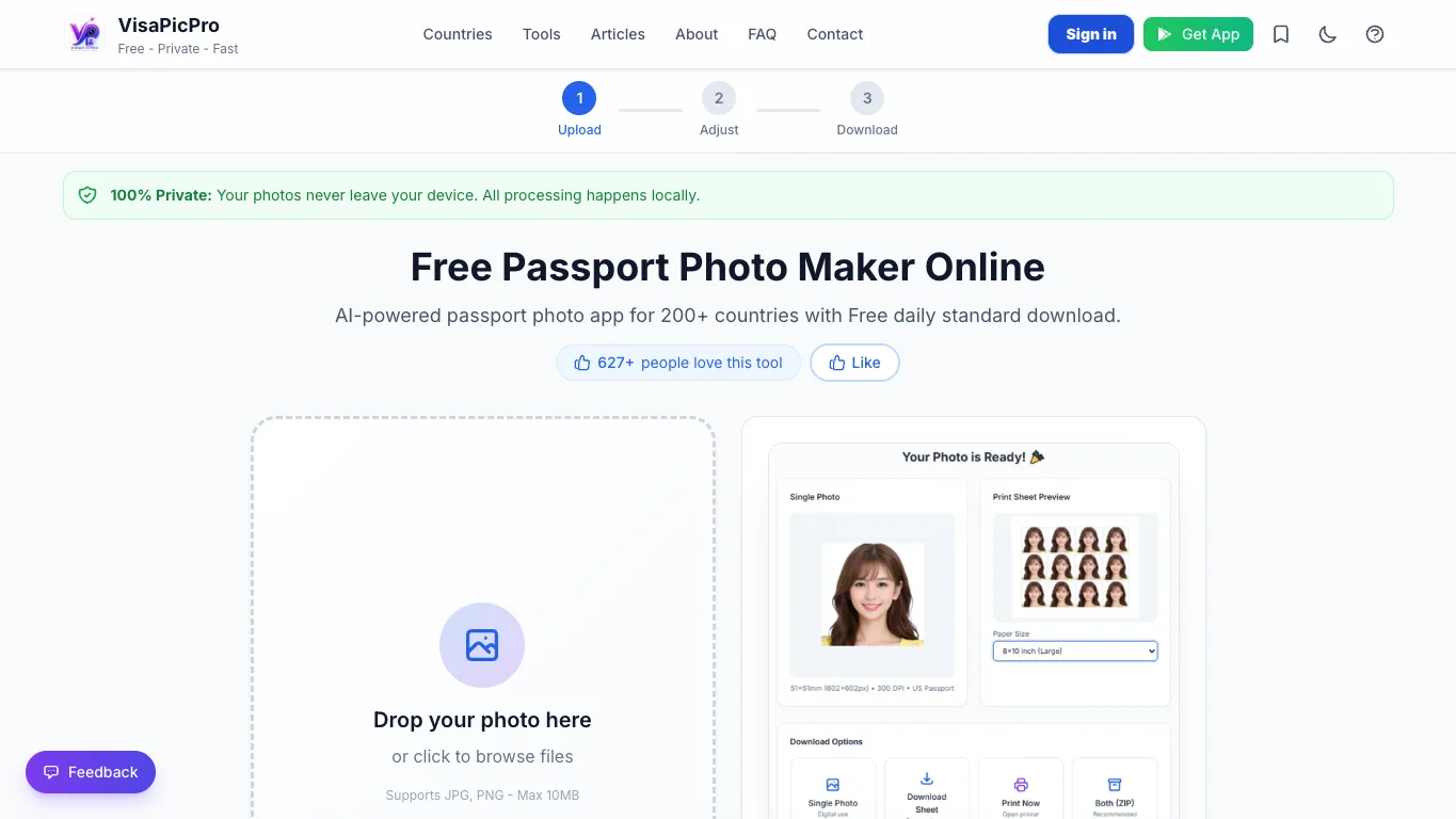 VisaPicPro official homepage screenshot